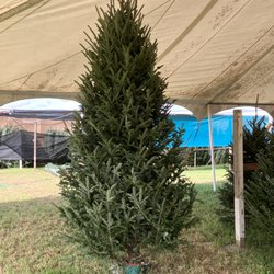 Creston Farms Christmas Trees