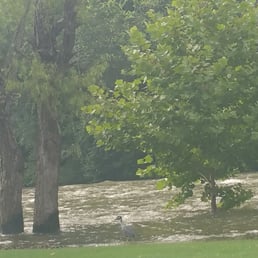 High waters at camp, its not recommended you get in because of strong current. Lots are small, and very muddy. High waters at camp, its not recommended you get in because of strong current. Lots are small, and very muddy.