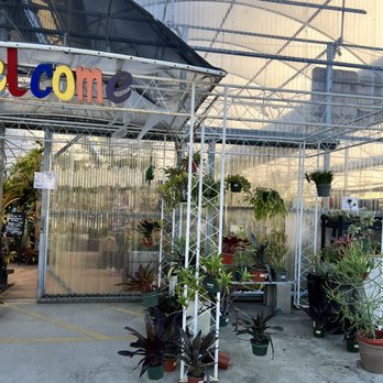 Rainforest Flora - Nurseries & Gardening Near Me - Torrance, California Rainforest Flora - Nurseries & Gardening Near Me - Torrance, California