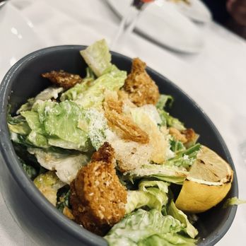 Boca - Cesar Salad - Bars Near Me - Winter Park, Florida Boca - Cesar Salad - Bars Near Me - Winter Park, Florida