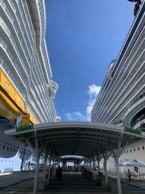 Port Canaveral by null