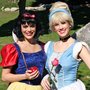 Photo of The Princess Party