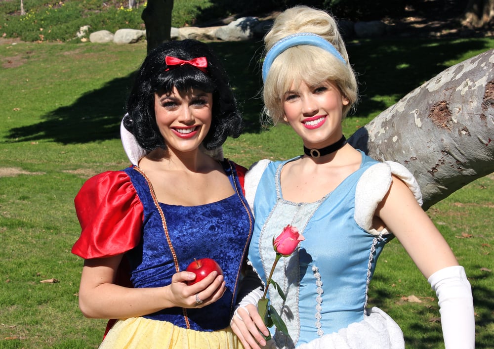 The Princess Party