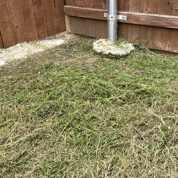 Chorbie - Lawn Services Near Me - Frisco, Texas