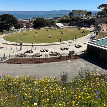 Francisco Park - Dog Parks Near Me - San Francisco, California