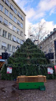 Singing Christmas Tree by null
