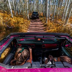 Native Jeeps