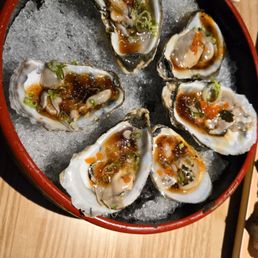 Oysters Oysters