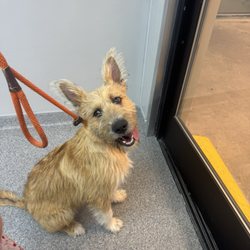 Arizona Humane Society - Sunnyslope Campus