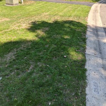 The Davey Tree Expert Company - Tree Services Near Me - Canton, Michigan