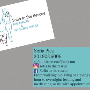 Sofia To The Rescue - WE OUT HERE - Dog Walkers Near Me Sofia To The Rescue - WE OUT HERE - Dog Walkers Near Me