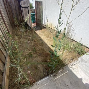 Bravo's Landscaping Services - Before concrete - Tree Services Near Me Bravo's Landscaping Services - Before concrete - Tree Services Near Me
