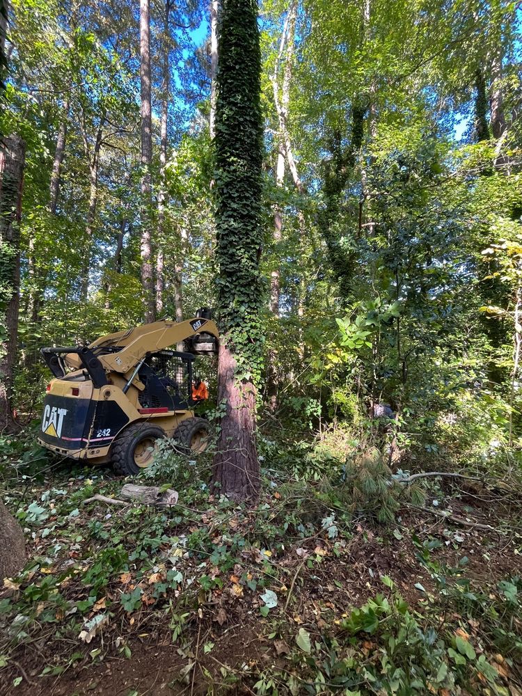 Castro Tree Service - tree service in Apex, NC