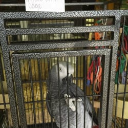 Uptown Pets - Zim!