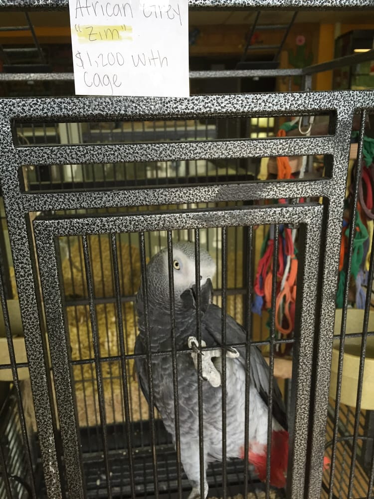 UPTOWN PETS Updated September 2024 2828 US Highway 431, Boaz