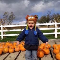 Vale Wood Farms - Pumpkins galore!