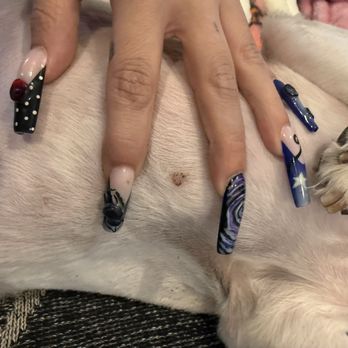 PetSmart - Crusty blood when scratched - A hand with elaborately decorated nails is placed on a dog's belly, revealing a small wound with crusty blood. The nails have various designs and colors. - Pet Training Near Me - Mesa, Arizona