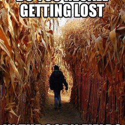 Maple Lane Farms & Corn Maze - Do you recall getting lost in the corn maze?