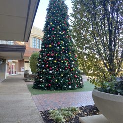 The Avenue Murfreesboro