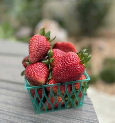 Carlsbad Strawberry Company by null