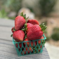 Carlsbad Strawberry Company - It's that time! $7!!!! Wow