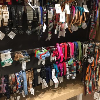 Healthy Spot - Studio City - Nice assortment of collars - Pet Groomers Near Me - Studio City, California