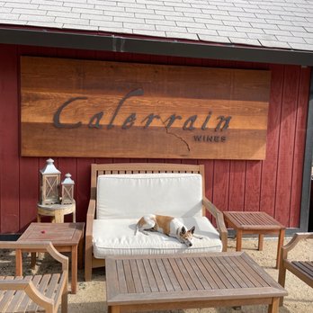 Calerrain Wines - Pepper, the roaming dog. - Wine Tasting Room Near Me - Gilroy, California