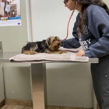 Pedley Veterinary Hospital - Veterinarians Near Me - Riverside, California Pedley Veterinary Hospital - Veterinarians Near Me - Riverside, California