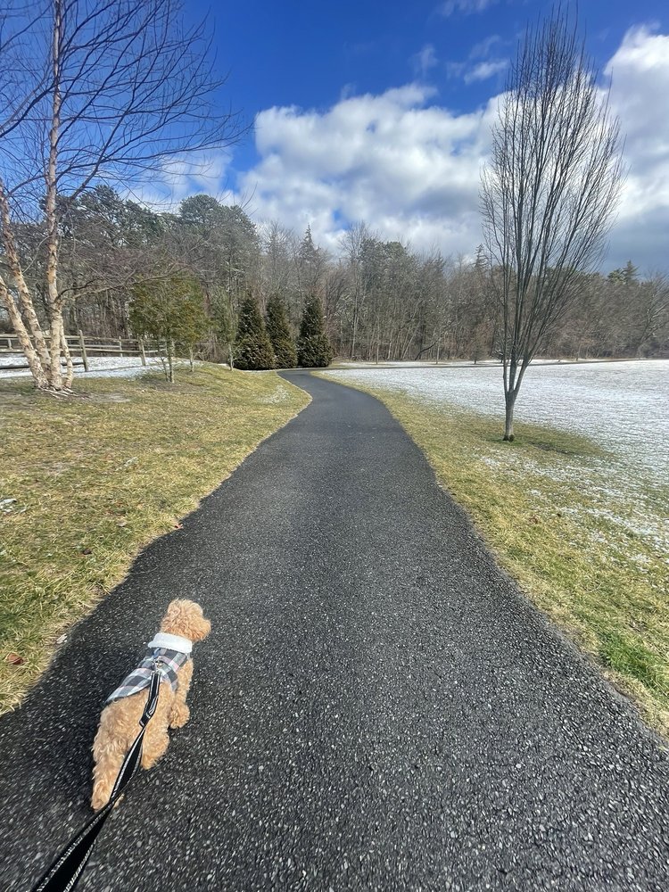 Herbertsville Park Image