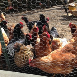 Siena Farms - Frm share!