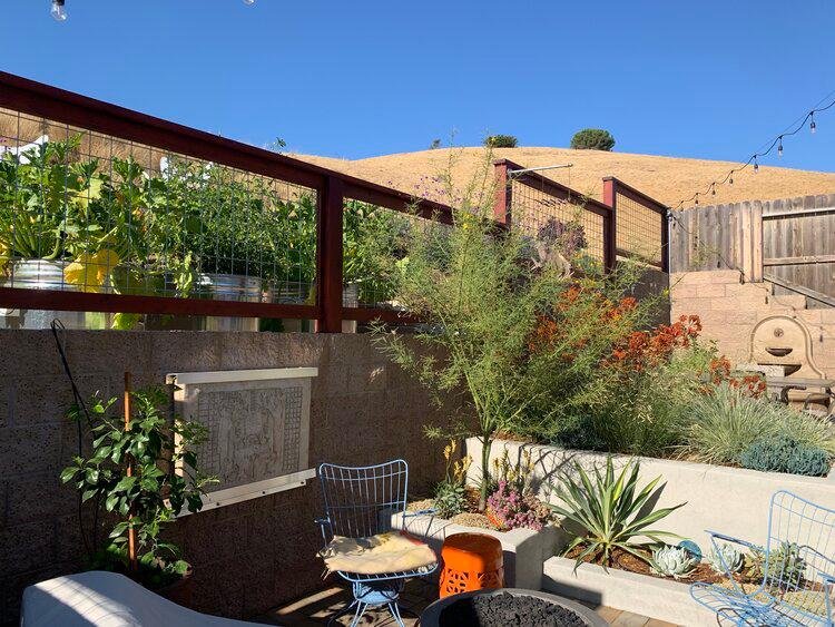 Slide of Rivetti Landscapes