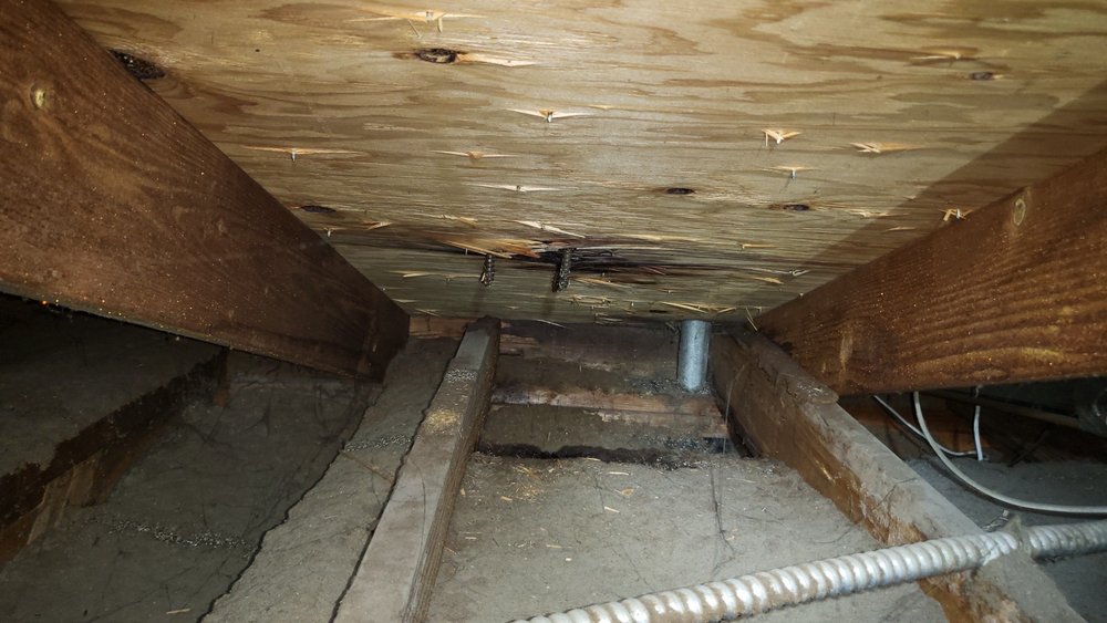 Slide of Immaculate Roofing