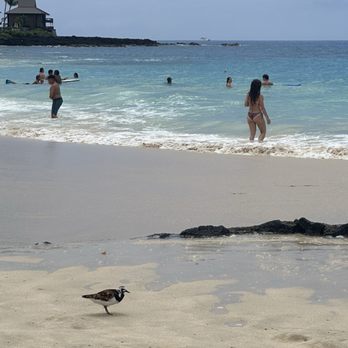 Magic Sands Beach - Beaches Near Me - Kailua-Kona, Hawaii