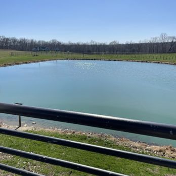 StarView Vineyards - Lake view off back patio - Wineries Near Me - Cobden, Illinois StarView Vineyards - Lake view off back patio - Wineries Near Me - Cobden, Illinois
