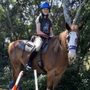 Photo of Central Florida Mounted Archers