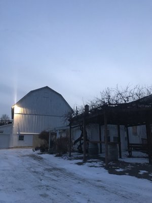 Keuka Lake Vineyards by null