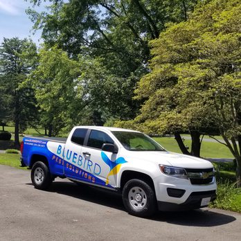 Bluebird Pest Solutions - Pest Control Near Me Bluebird Pest Solutions - Pest Control Near Me