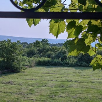 Stonecat Cafe - View from the deck - Cafes Near Me - Hector, New York