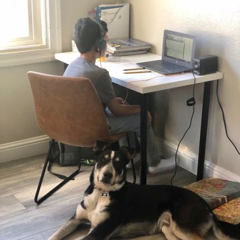 PowerHouseK9 - Our son distance learning with Loki - Pet Training Near Me PowerHouseK9 - Our son distance learning with Loki - Pet Training Near Me