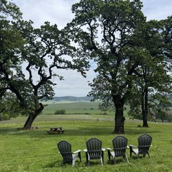 Johan Vineyards