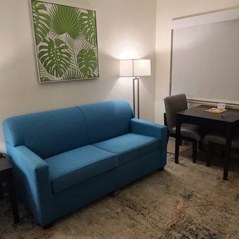 Oasis Bay Suites - Hotels Near Me - Tampa, Florida Oasis Bay Suites - Hotels Near Me - Tampa, Florida