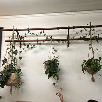 The Well - Coffee & Tea Near Me - Stockton, California The Well - Coffee & Tea Near Me - Stockton, California