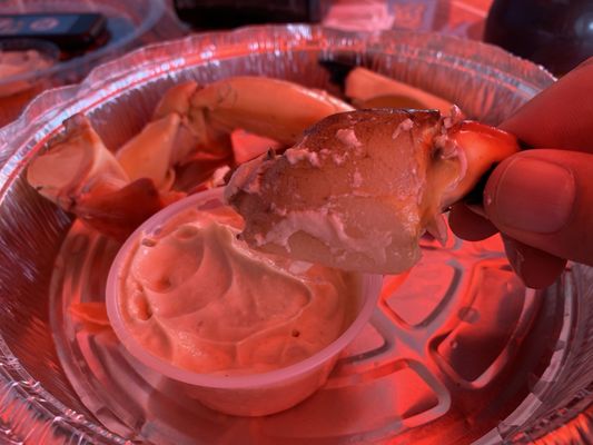 Fresh Florida Fisheries by null