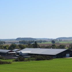 Agricultural Real Estate Specialist at Advantage Realty - Modern dairy setup with updated 5-bed home, large freestall barns, solar, manure systems, and 160 acres--ready for heifers or milking herd.