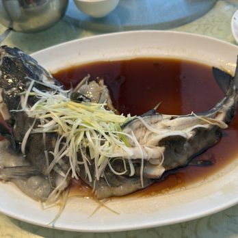 Sifu Wong Kitchen - Steam fish - Dim Sum Near Me - Sunnyvale, California Sifu Wong Kitchen - Steam fish - Dim Sum Near Me - Sunnyvale, California