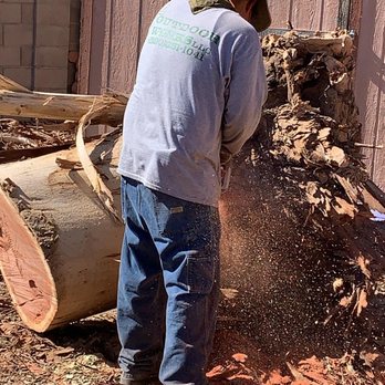 Outdoor Works - Tree removal as well - Landscaping Near Me Outdoor Works - Tree removal as well - Landscaping Near Me