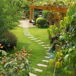 Montes Landscaping