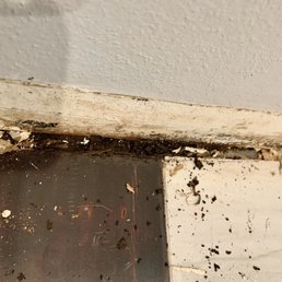 Water damage to living room floor from leak in wall