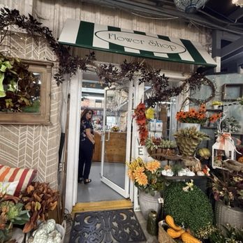 DRIFTWOOD GARDEN CENTER & FLORIST - Updated September 2026 - 36