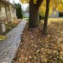 Photo of JAYS Julians Affordable Yard Services